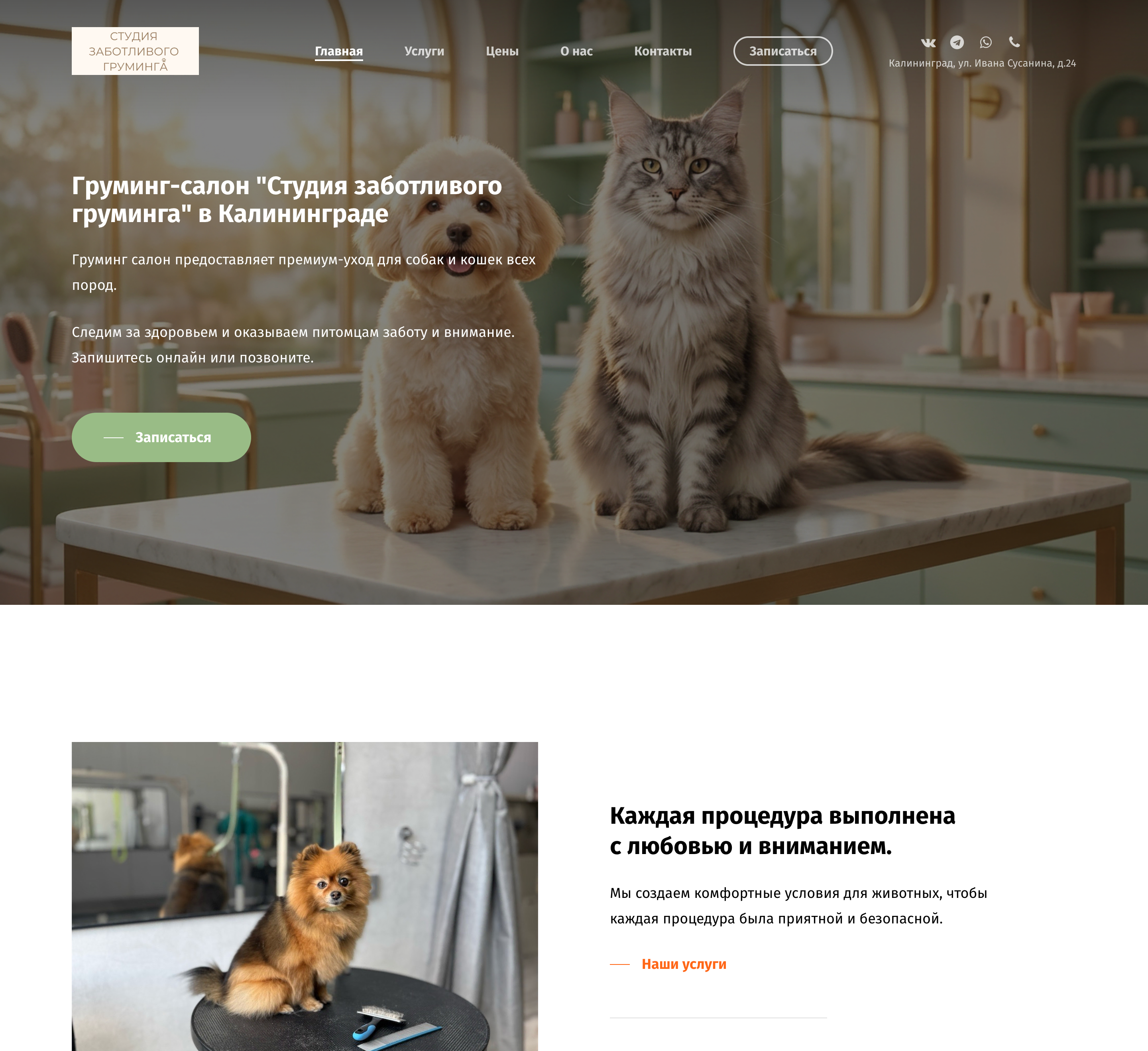 Студия груминга "The Pet Care"